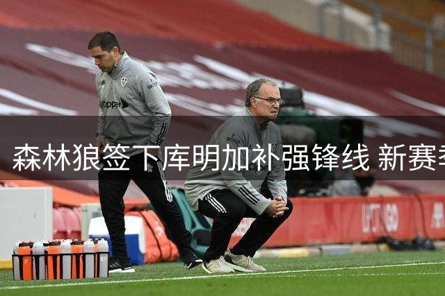 森林狼签下库明加补强锋线 新赛季将组建豪华先发五虎