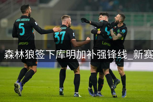 森林狼签下库明加补强锋线 新赛季将组建豪华先发五虎