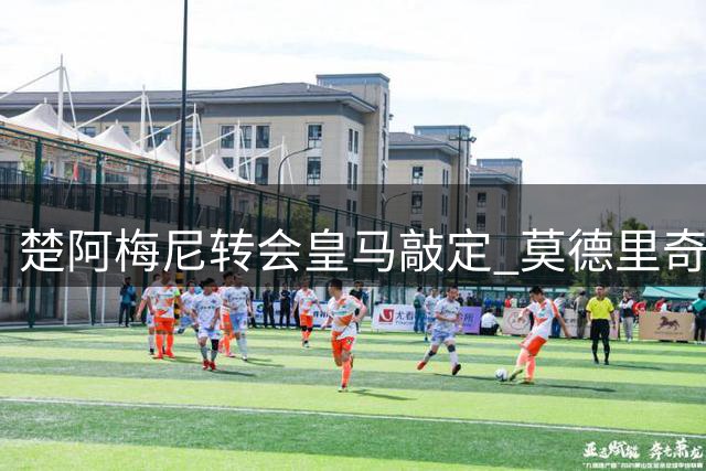 楚阿梅尼转会皇马敲定 莫德里奇同步完成续约