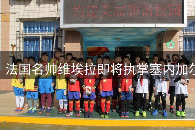 法国名帅维埃拉即将执掌塞内加尔国家队教鞭